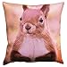 Produktbild Zauberhafter Kissenbezug " SÜSSES EICHHÖRNCHEN " - trendiger Fotoprint - Größe Kissenhülle 40 x 40 - hier im KAMACA-SHOP sind auch weitere Fotodruck - Kissen erhältlich