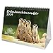 Produktbild Erdmännchenzauber · DIN A5 · Premium Tischkalender/Kalender 2019 · Erdmännchen · Afrika · Tiere · Wildnis · Natur · Edition Seelenzauber