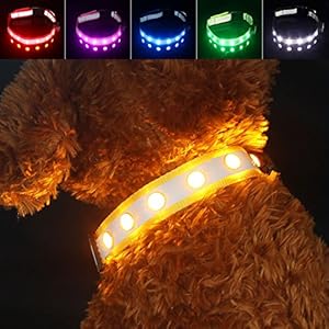 PAWOW Collar de Perro, Collar Perro LED, Collar Mascota, LED de 3 Modos, USB Recargable, Ajustable y Impermeable, Más Visible y Seguro, Tiene un Cable de Carga（Nylon, Amarillo）