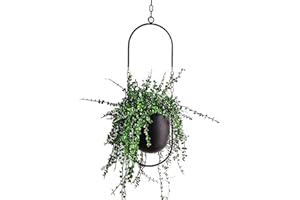 Beihaoer Hanging Decoration Pot Metal Boho Hanging Basket Ceiling Hanging Planter for Indoor Plants Succulents Air Plants Cactus (Black)