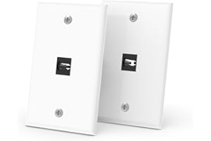 RUIPRO Confezione da 2 placche da parete Keystone, piastra da parete singola con accoppiatore HDMI 8K Keystone (1Port-2P)