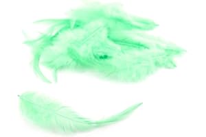 CREATIVERY 3 g di piume a forma di gallo, circa 8 – 13 cm (verde menta/menta 513) // piume decorative per bricolage