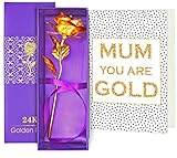 TIED RIBBONS Birthday Gifts for Mother 24K Gold Plated Rose with Greeting Card (9 cm x 9 cm x 25 cm, Red)