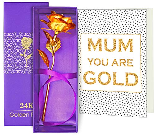 TIED RIBBONS Birthday Gifts for Mother 24K Gold Plated Rose with Greeting Card (9 cm x 9 cm x 25 cm, Red)