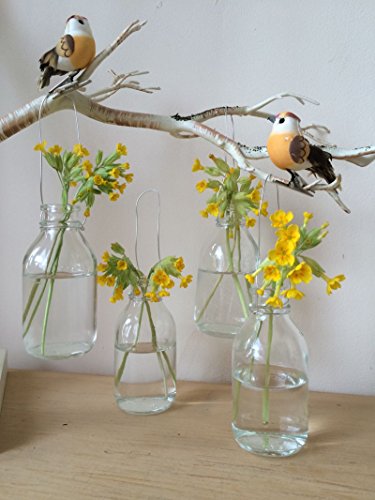 Set von vier Weinlese Hanging Glasflaschen Kleine Mini Bud Vase Hochzeitsdekoration