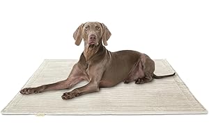 Knuffelwuff Koc dla psa Timor 100 x 70 cm, beżowy – wygodny i łatwy w pielęgnacji koc do leżenia z miękkiego sztruksu, nadaje się do prania, dla dużych, średnich i małych psów