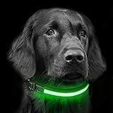 [Gesponsert]LEDHalsbandHund, Focuspet Leuchtendes Halsband Led Hundehalsband USB Und Solarenergie Aufladba Nacht Hundeband Einstellbarer Halsumfang Sicherheits Halsband für Hunde, Katzen usw. M38-48cm L48-60cm