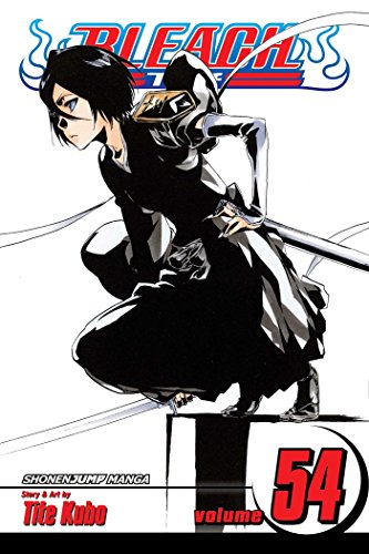 Download Bleach Volume 54