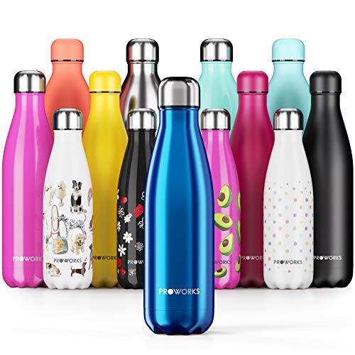 Proworks Bottiglia Acqua in Acciaio Inox, Senza BPA Vuoto Isolato Borraccia Termica in Metallo per Bevande Calde per 12 Ore & Fredde 24 Ore, Borraccia per Sport, Lavoro e Palestra - 500ml - Blu