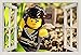 Produktbild Unified Distribution Lego - Ninjago - Cole -Be Earth - Wandtattoo mit 3D Effekt, Aufkleber für Wände und Türen Größe: 92x61 cm, Stil: Fenster