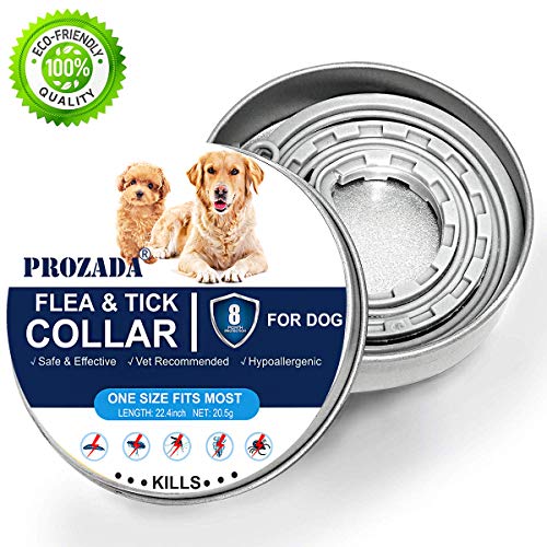 PROZADA - Collares antiparasitarios para Perros, 8 Meses de protección eficaz, Ingredientes Naturales, protección eficaz para Ocho Meses