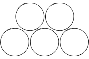 BNINETEENTEAM Molla per Nottolino Ruota Libera Bici, 5 Pezzi / Set Molla per Nottolino Ruota Libera Bici in Acciaio Inox Molla Base Torre Senza Gancio per Fulcro F0 / F1 / F3 / F5 / XL / KT Cassette Hub Driver