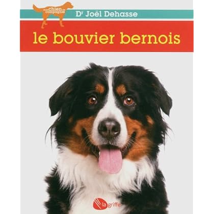 Le bouvier bernois NE