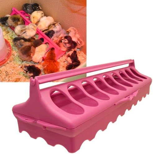 Hentastic Smart Start Feeder - Specially design ground feeder to suit young chickens from hatching to point of lay.