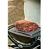 Weber 6563 Original Bratenrost Fr Q Hitzeschild Klein Und Q 1000100 Serie