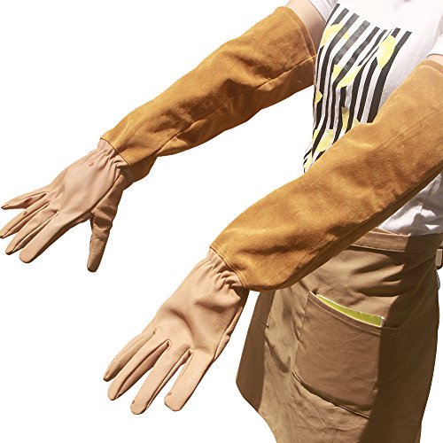 Goatskin Leather Thorn Proof Puncture Resistant Bramble Gloves , Heavy