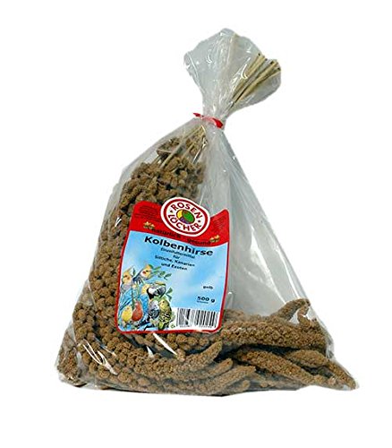 Preisvergleich Produktbild Kolbenhirse gelb 500g