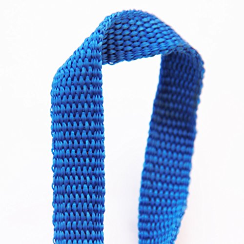 Metal-Dog-Chain-With-Blue-Fabric-Handle-Enables-You-To-Complete-Control-on-Your-Pet