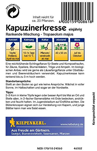 Kiepenkerl 910128 Kapuzinerkresse, Tropaeolum majus Rankende Mix - 2