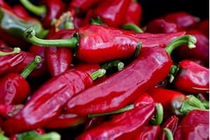 Sachet de graines de Piment basque Gorria dit d'Espelette - Sachet d'environ 25 graines - Graines de style