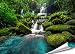 Produktbild PMP 4life. XXL Poster Wasserfall im Wald green forest Natur HD 140cm x 100cm Hochauflösende Wanddekoration Bild für Wandgestaltung Wandbild | Fotoposter Landschaft Bäume Wasser | + GRATIS Poster