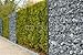 Produktbild Alu-Dibond-Bild 110 x 70 cm: "Zaun mit Hecke", Bild auf Alu-Dibond