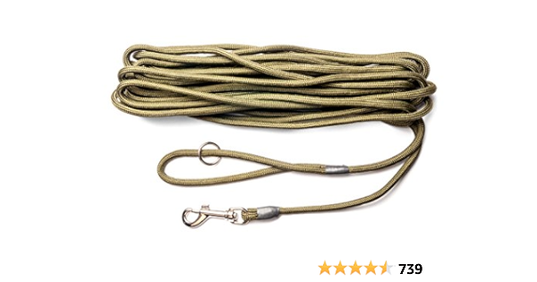 dog leads amazon