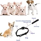 【KOMFORT FÜR BESETZTE HAUSTIERE】Luck Leash ist eine praktische Lösung für vielbeschäftigte Tierhalter. Das 2 IN 1 Einzieh-Gurtzeug und der magnetische Halsband helfen Ihnen, weniger Zeit mit dem Suchen und mehr Zeit mit Ihrem pelzigen Freund zu verbringen.