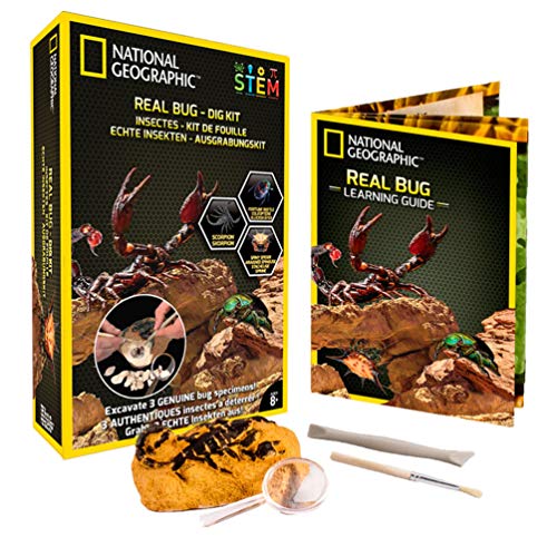 Bandai - National Geographic - Kit de fouille - 3 insectes à extraire - scorpion, coléoptère et araignée épineuse-  Jeu scientifique et éducatif - STEM - JM00646