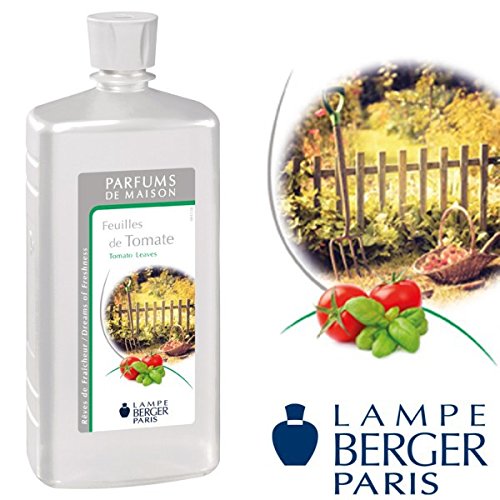 Feuilles de tomate / Tomato leaves 1L - 3