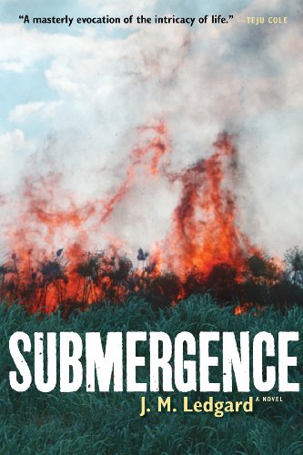 Download Submergence