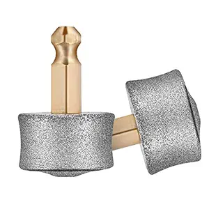 REXIPETS Dog Nail Grinder Replacement Head - Pet Nail Grinder Diamond Tip for Paws- 2 Pack Professional Dog Claw Grinder Bits Replaceable Diamond Nail Grinder Wheel