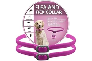 BKEPDY Collier Anti Puces pour Chien 2 Pièces Anti Tiques pour Chien Réglable et Imperméable Sûr et Naturel Longueur 65cm Protection 8 Mois pour Chiens de Petite Moyenne et Grande Taille