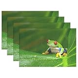 COOSUN De Ojos Rojos Rana de árbol del Amazonas manteles, manteles Resistente al Calor...