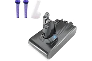 Batterie pour Dyson aspirateurs V6 DC62 DC58 DC59 DC61 DC74 SV03 SV05 SV06 SV07 SV09 SV04 SV08, STANEW Batterie de Remplacement pour Dyson avec 2 Filtres Li-ION 21.6v 4000mAh