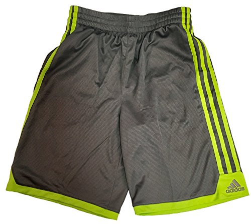 Preisvergleich Produktbild adidas Jungen Basketball-Shorts, Herren, Grau / Grün, S