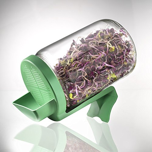 Germline – Sprossengarten im Glas – Sprossengarten im Glas Germline im Dreierpack - 4
