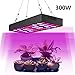 Produktbild J.Memi 300W Grow Led Pflanzenlampe Pflanzenleucht Zimmerpflanzen Lampe Wachstumslampe Optical Lens-Series Dual Chips Ganze Spektrum UV IR Licht Indoor Gemüse Growth Sämling Wachstum