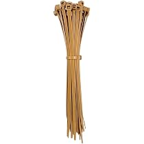 bambus winterhart kaufen Bambus Phyllostachys schwarz