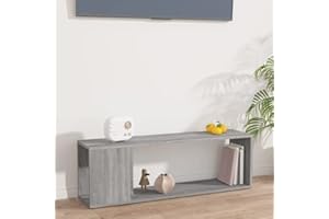 Pxznbe Tavolo Porta TV 100x24x32 cm Grigio Sonoma Legno Multistrato Design Elegante e Classico Mobile TV Piano d'appoggio Pratico per Esporre Oggetti Decorativi Supporto TV Soggiorno Ampio Spazio