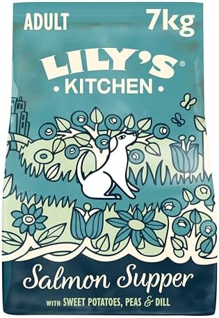 Lily's Kitchen Preparato con ingredienti naturali Cibo secco per cani adulti Nutrizione bilanciata Salmone Sacco da 7kg