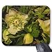 Produktbild timetoshine Lenten Rose Nieswurz Maus Pad