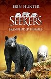 Image de Seekers. Brennender Himmel: Band 11
