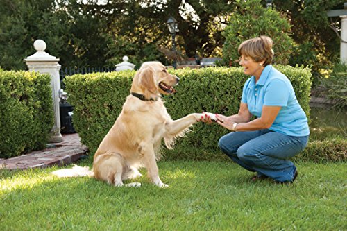 PetSafe-Big-Dog-Deluxe-Spray-Bark-Control-Collar-Unscented