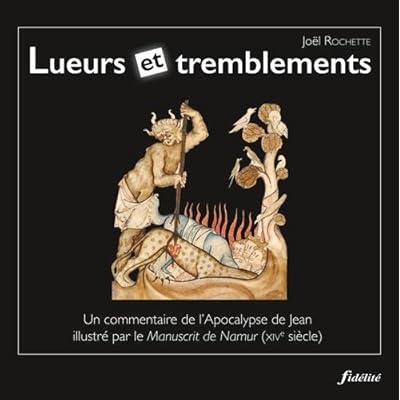 Lueurs et tremblements : Un commentaire de l'Apocalypse de Jean illustré par le Manuscrit de Namur (XIVe siècle)