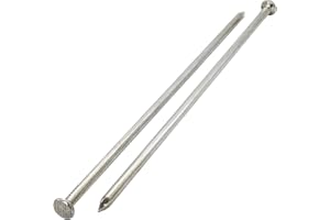 SKIR'CO 6 clavos de construcción chapados en zinc de 8 x 300 mm, clavos de alambre comunes, cabeza redonda plana, clavos de acero para carpintería