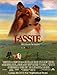 Produktbild Lassie Plakat Movie Poster (27 x 40 Inches - 69cm x 102cm) (1994) C
