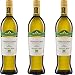 Produktbild Moncaro - Montecarotto MARCHE Verdicchio 'Geos' Castelli di Jesi DOC 2015/2016 Trocken  ( 3 x 0.75 l)
