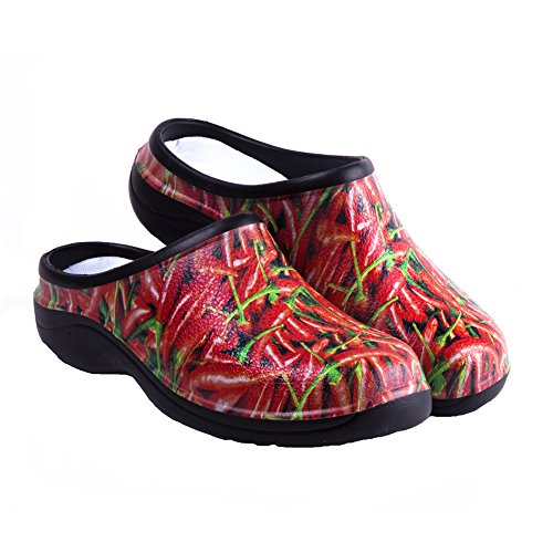 « Click to Enlarge and to go to Amazon »