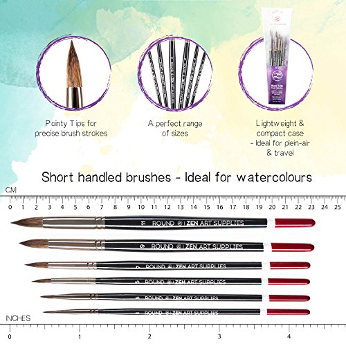 Künstler Pinsel Set für Gouache, Wasserfarben und Flüssige Acrylfarben – 6 Stück – Mischung aus Runden, Spitzen Langlebigen Eichhörnchen und Synthetik Haaren mit Kurzem Stiel – Black Tulip von ZenArt - 3